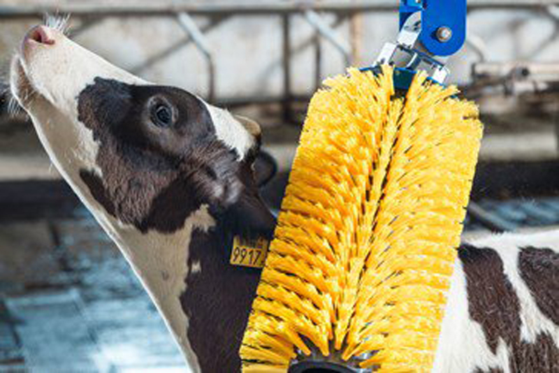 DeLaval swinging cow brush SCB